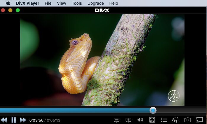 4k video players for mac